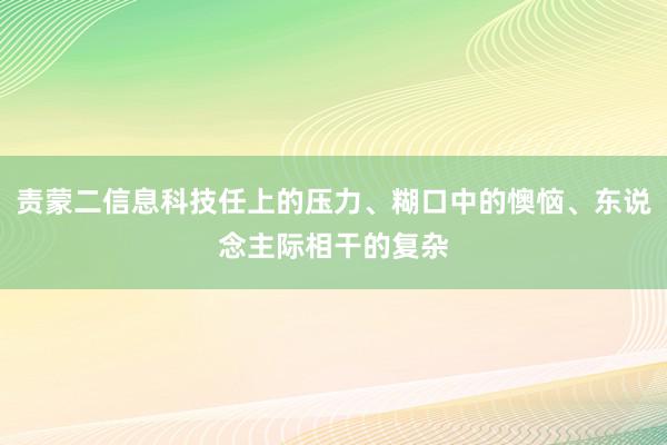 责蒙二信息科技任上的压力、糊口中的懊恼、东说念主际相干的复杂