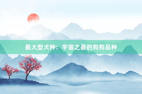 最大型犬种：宇宙之最的狗狗品种