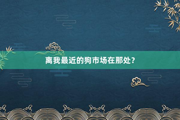离我最近的狗市场在那处？